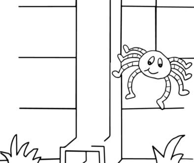 the-itsy-bitsy-spider-think-outside-the-box